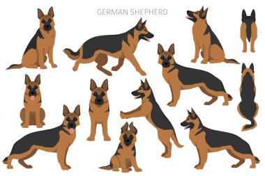 Farklı pozlarda Alman çoban köpeği ve palto renkleri kesişiyor. Vektör illüstrasyonu