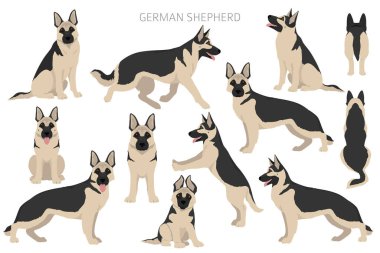 Farklı pozlarda Alman çoban köpeği ve palto renkleri kesişiyor. Vektör illüstrasyonu