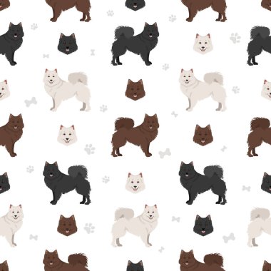 Alman Spitz, Dev Spitz Clipart. Farklı pozlar, farklı renkler. Vektör illüstrasyonu