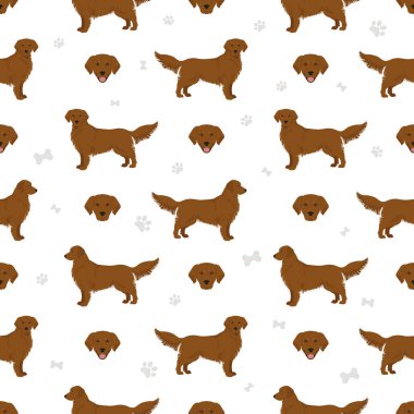 Golden retriever köpekleri farklı pozlarda ve ceket renkleri pürüzsüz. Vektör illüstrasyonu