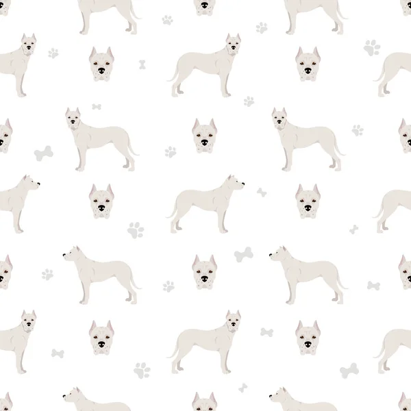 Dogo Argentino Seamless Pattern Different Poses Coat Colors Set Vector — Stock Vector