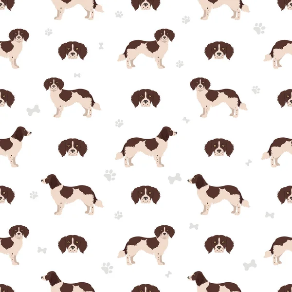 Dutch Partridge Dog Seamless Pattern Different Poses Coat Colors Set — Stock Vector