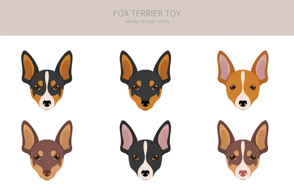 Fox Terrier Juguete Clipart Distintas Poses Colores Del Abrigo Establecidos — Vector de stock
