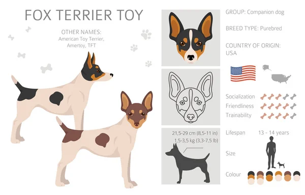 Clipart Jouet Fox Terrier Différentes Poses Couleurs Manteau Réglées Illustration — Image vectorielle