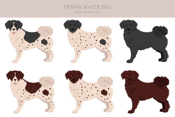 Frísio Clipart Cão Água Poses Diferentes Conjunto Cores Casaco Ilustração —  Vetores de Stock