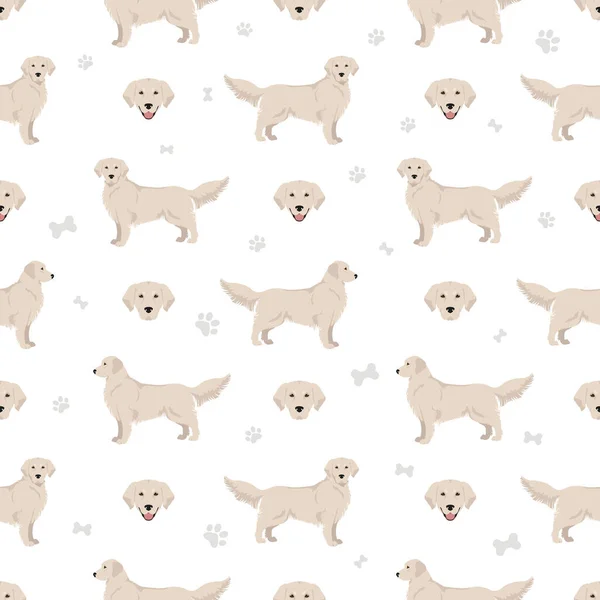 Golden Retriever Σκυλιά Διαφορετικές Στάσεις Και Χρώματα Παλτό Αδιάλειπτη Μοτίβο — Διανυσματικό Αρχείο
