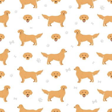 Golden retriever köpekleri farklı pozlarda ve ceket renkleri pürüzsüz. Vektör illüstrasyonu