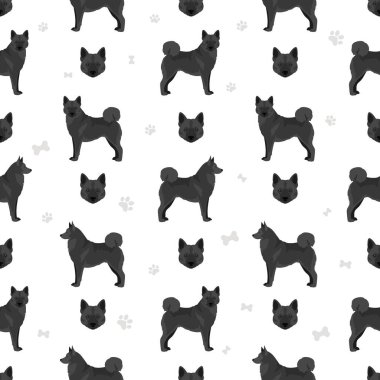 Siyah Norveç Elkhound 'u kusursuz desen. Farklı ceket renkleri ve pozlar. Vektör illüstrasyonu