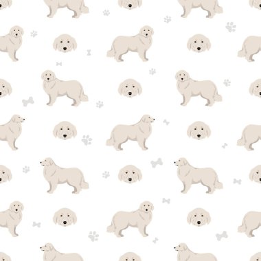 Büyük Pireneler kusursuz desen. Farklı pozlar, farklı renkler. Vektör illüstrasyonu