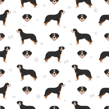 Daha büyük İsviçre dağ köpeği pürüzsüz desen. Farklı pozlar, farklı renkler. Vektör illüstrasyonu