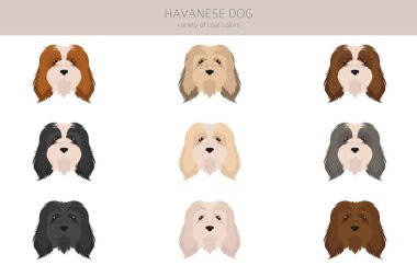Havanalı köpek klipsi. Farklı pozlar, farklı renkler. Vektör illüstrasyonu