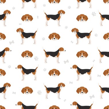 Harrier köpeği kusursuz desen. Farklı pozlar, farklı renkler. Vektör illüstrasyonu