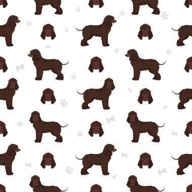 İrlanda su spanyeli kusursuz desen. Farklı pozlar, farklı renkler. Vektör illüstrasyonu