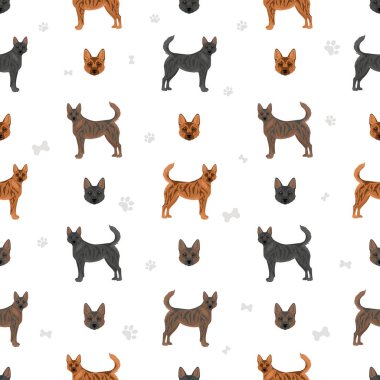 Kai Ken kusursuz desen. Farklı pozlar, farklı renkler. Vektör illüstrasyonu