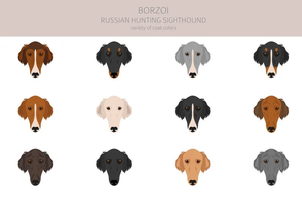 ロシアの狩猟の光景はボルゾイの飛び地を発見した 異なるコートの色やポーズを設定します ベクターイラスト — ストックベクタ