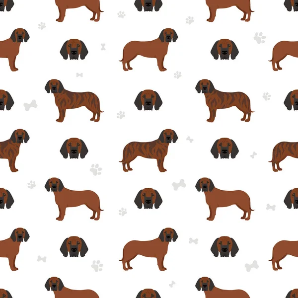 汉诺威猎犬无缝图案 不同的姿势 不同的外套颜色 矢量说明 — 图库矢量图片