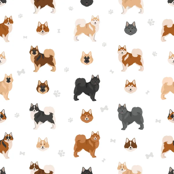 Ισλανδικό Πρότυπο Σκύλου Χωρίς Ραφή Διαφορετικές Πόζες Σετ Χρωμάτων Εικονογράφηση — Διανυσματικό Αρχείο