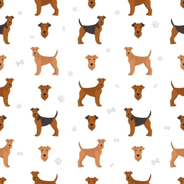 Patrón Irlandés Sin Costuras Terrier Distintas Poses Colores Del Abrigo — Vector de stock