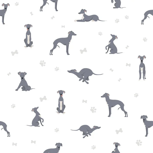 Italiensk Greyhound Sömlöst Mönster Olika Poser Olika Pälsfärger Vektorillustration — Stock vektor