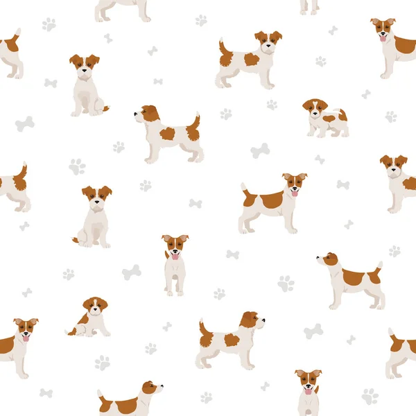 Jack Russel Terrier Different Poses Coat Colors Seamless Pattern Adult — Stock Vector