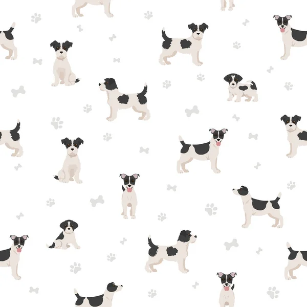 Jack Russel Terrier Different Poses Coat Colors Seamless Pattern Adult — Stock Vector