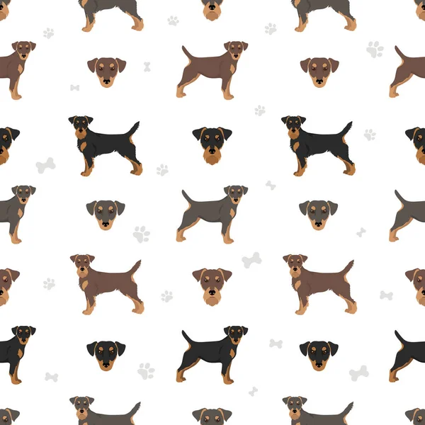 Jagdterrier Seamless Pattern Different Poses Coat Colors Set Vector Illustration — Stock Vector