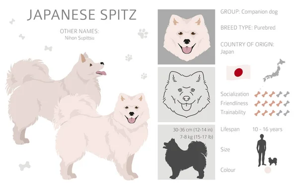 Giapponese Spitz Clipart Posate Diverse Colori Del Cappotto Impostati Illustrazione — Vettoriale Stock
