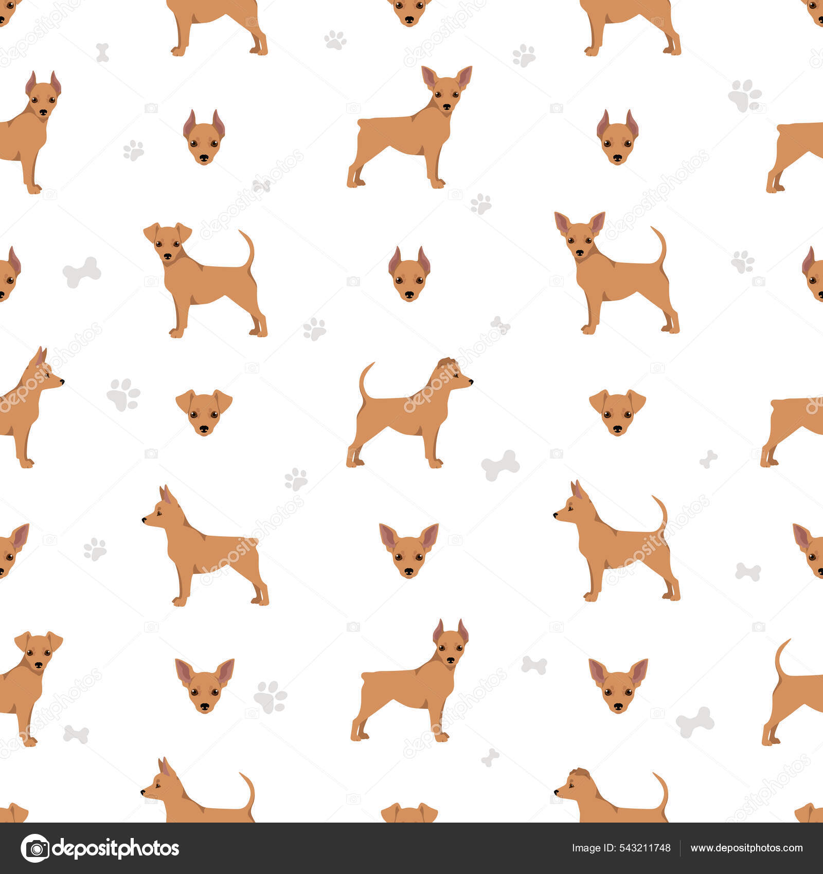 Miniature Pinscher Teacup Seamless Pattern Different Poses Coat Colors ...
