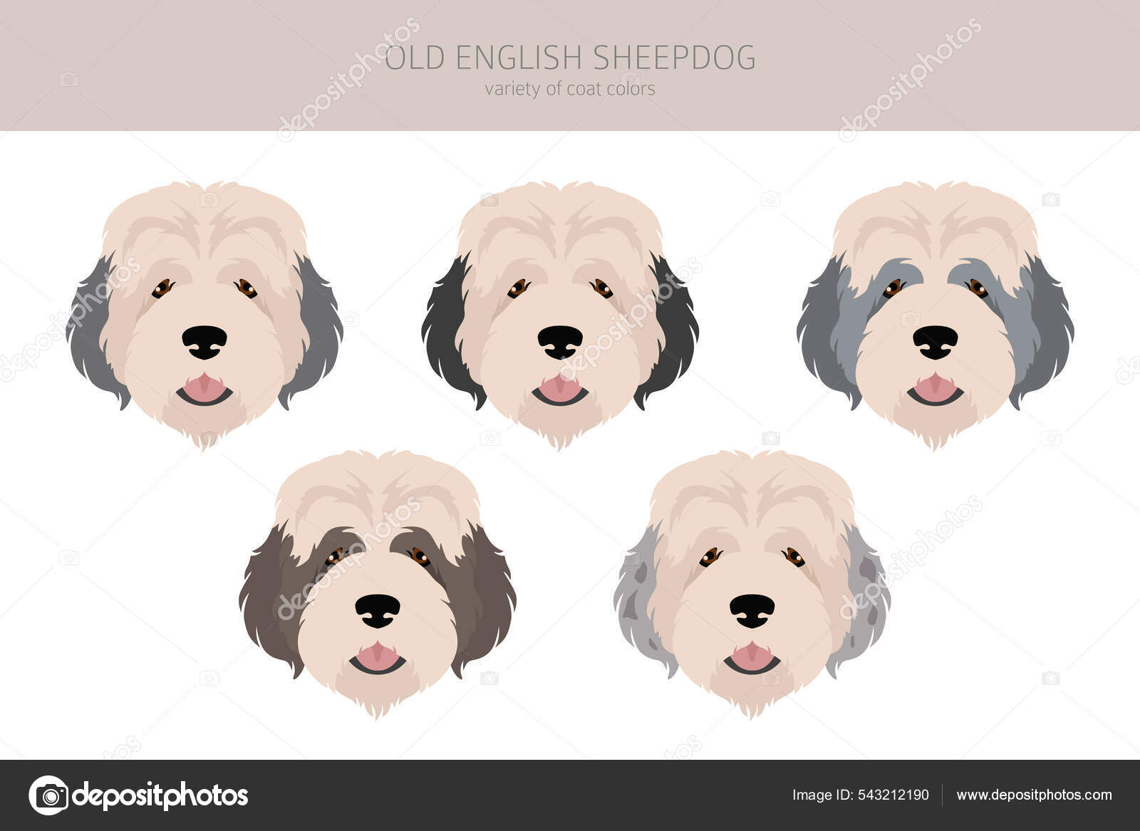 Cão pastor inglês velho - ícones de animais grátis