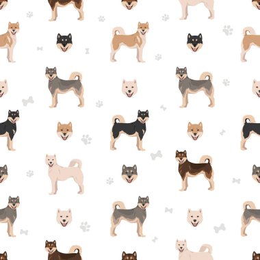 Kishu Ken kusursuz desen. Farklı pozlar, farklı renkler. Vektör illüstrasyonu