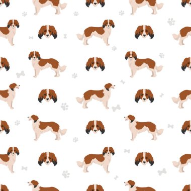 Kooikerhondje kusursuz desen. Farklı pozlar, farklı renkler. Vektör illüstrasyonu