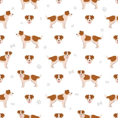 Kromfohrlander kusursuz desen. Farklı pozlar, farklı renkler. Vektör illüstrasyonu