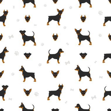 Minyatür pinscher çay fincanı pürüzsüz desen. Farklı pozlar, farklı renkler. Vektör illüstrasyonu