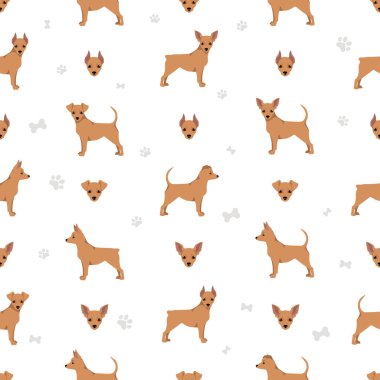 Minyatür pinscher çay fincanı pürüzsüz desen. Farklı pozlar, farklı renkler. Vektör illüstrasyonu