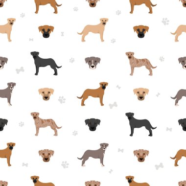 Dağ Köpeği deseni kusursuz. Farklı pozlar, farklı renkler. Vektör illüstrasyonu
