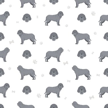 Napolitan Mastiff, Mastino Napolitano kusursuz desen. Farklı pozlar, farklı renkler. Vektör illüstrasyonu