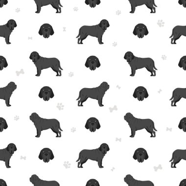 Napolitan Mastiff, Mastino Napolitano kusursuz desen. Farklı pozlar, farklı renkler. Vektör illüstrasyonu