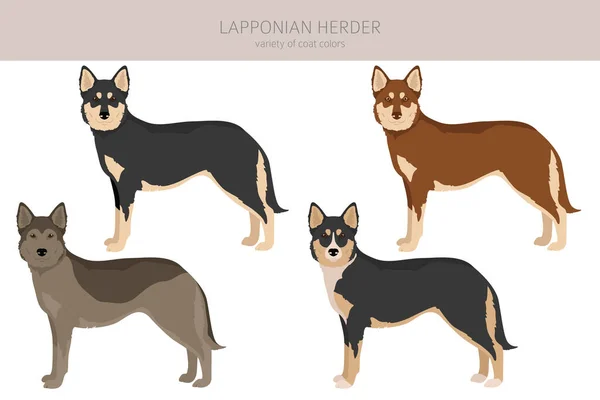 Lapponian Herder Clipart Posate Diverse Colori Del Cappotto Impostati Illustrazione — Vettoriale Stock