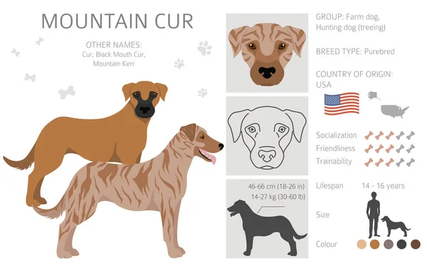 Clipart Mountain Cur Distintas Poses Colores Del Abrigo Establecidos Ilustración — Vector de stock