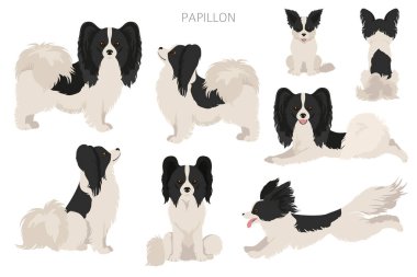 Papillon klipsli. Farklı pozlar, farklı renkler. Vektör illüstrasyonu