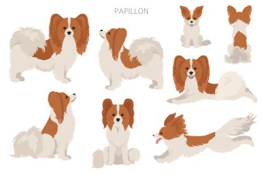 Papillon klipsli. Farklı pozlar, farklı renkler. Vektör illüstrasyonu
