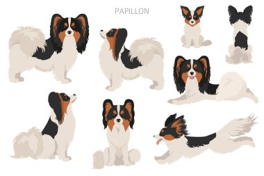 Papillon klipsli. Farklı pozlar, farklı renkler. Vektör illüstrasyonu