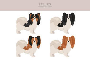 Papillon klipsli. Farklı pozlar, farklı renkler. Vektör illüstrasyonu