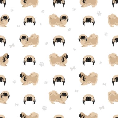 Pekin köpeği kusursuz desen. Farklı pozlar, farklı renkler. Vektör illüstrasyonu