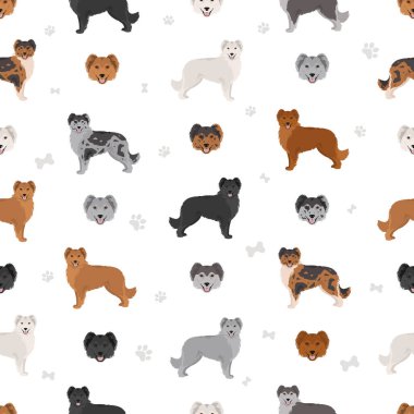 Pyrenean çoban köpeği, pürüzsüz yüzlü, pürüzsüz desen. Farklı pozlar, farklı renkler. Vektör illüstrasyonu
