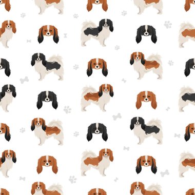 Phalene, Drop-eared Papillon dikişsiz desen. Farklı pozlar, farklı renkler. Vektör illüstrasyonu