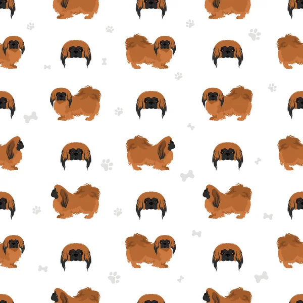 Пекинская Собака Бесшовный Рисунок Разные Позы Набор Цветов Пальто Векторная — стоковый вектор