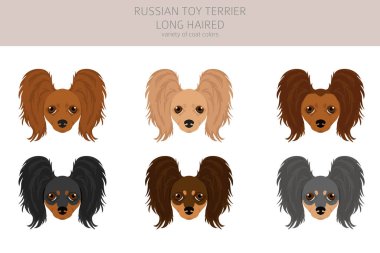 Rus oyuncak teriyeri uzun saçlı klipsi. Farklı pozlar, farklı renkler. Vektör illüstrasyonu