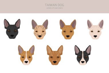Tayvan köpek klipsi. Farklı pozlar, farklı renkler. Vektör illüstrasyonu
