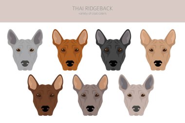 Thai Ridgeback klibi. Farklı pozlar, farklı renkler. Vektör illüstrasyonu